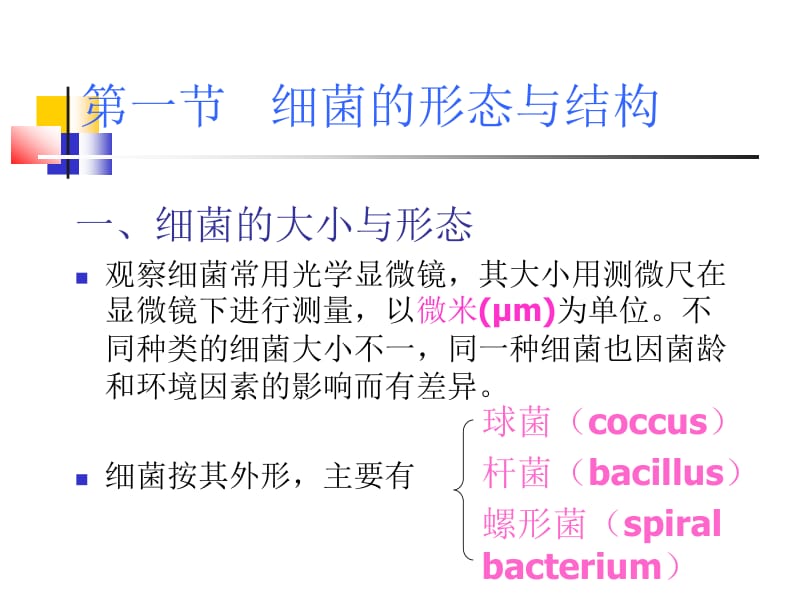 细菌的基本性状--细菌形态学.ppt_第2页