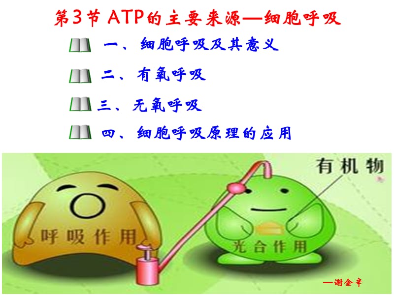 ATP的主要来源──细胞呼吸(修改.ppt_第1页