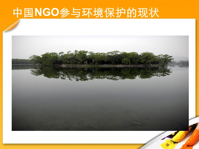 中国NGO参与环境保护的现状挑战与机遇.ppt_第3页