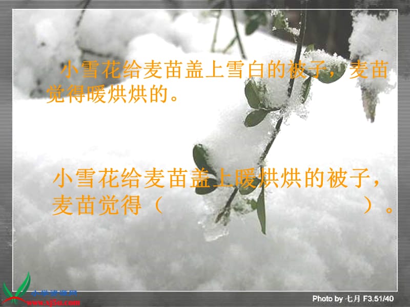 浙教版二年级上册雪被子课件1.ppt_第3页