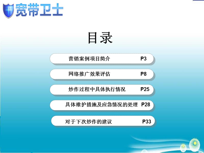 中国电信网络整合营销案例20100118.ppt_第2页