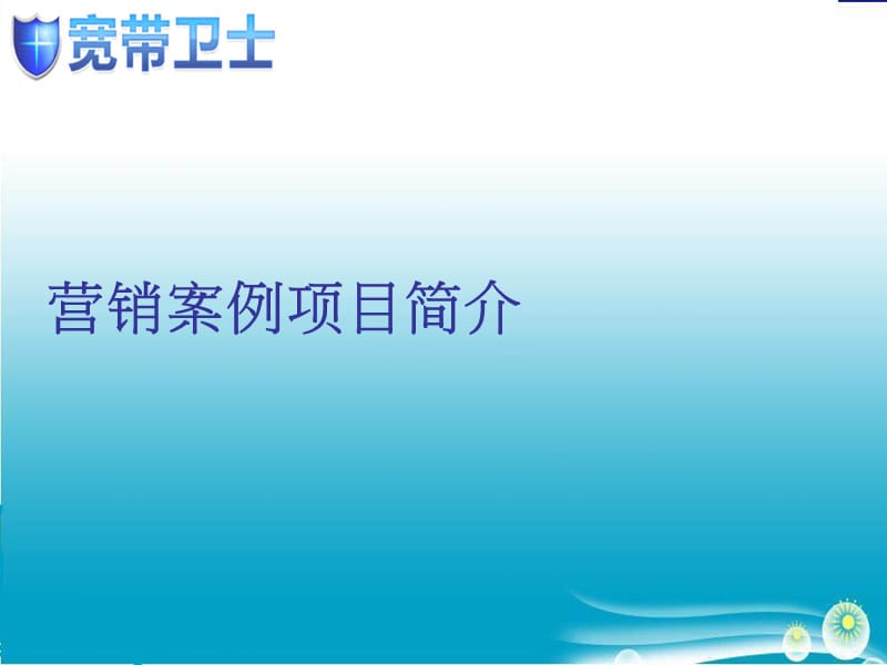 中国电信网络整合营销案例20100118.ppt_第3页