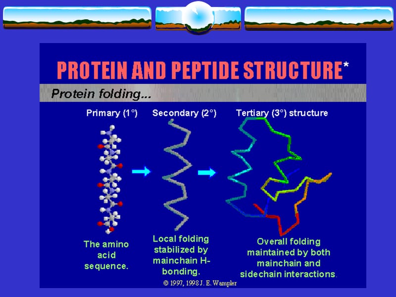 酶蛋白的结构.ppt_第2页