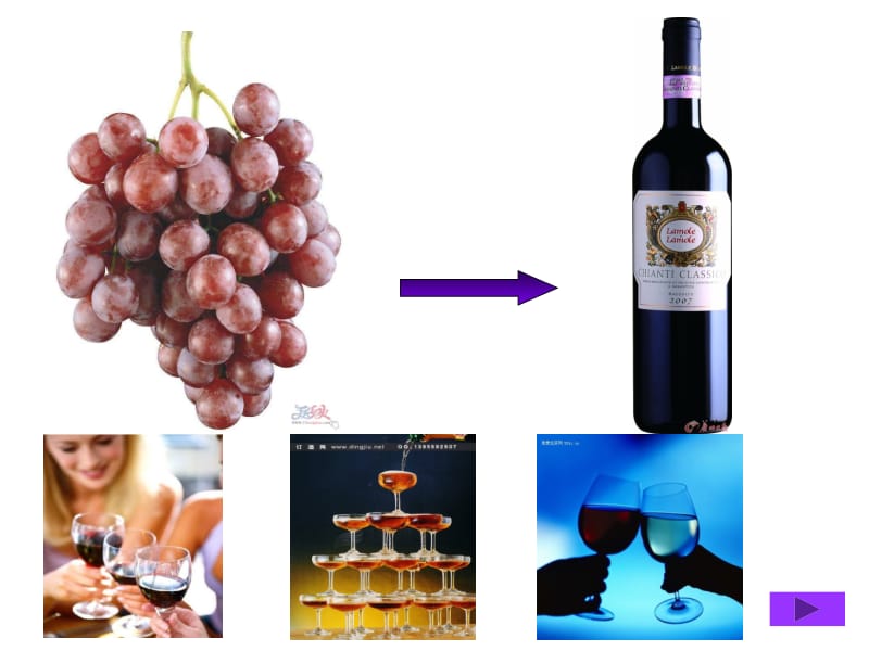 红葡萄酒的生产工艺.ppt_第1页