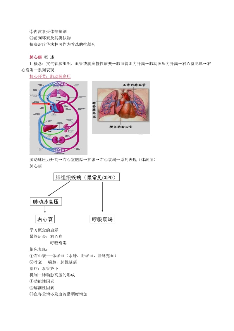 2015年尚蓝轩 执业医师助理医师考试题库呼吸系统讲义0201.doc_第3页