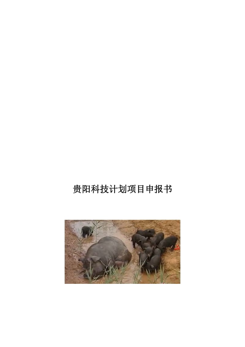 贵州地方黑土猪保种饲养示范推广方案.doc_第1页