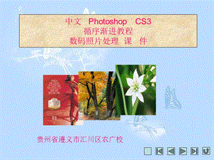 中文PhotoshopCS循序渐进教程数码照片处理.ppt