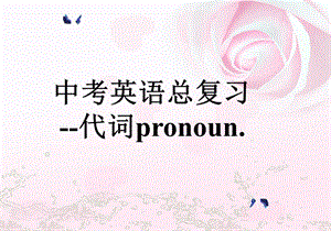 中考英语总复习代词pronoun.ppt