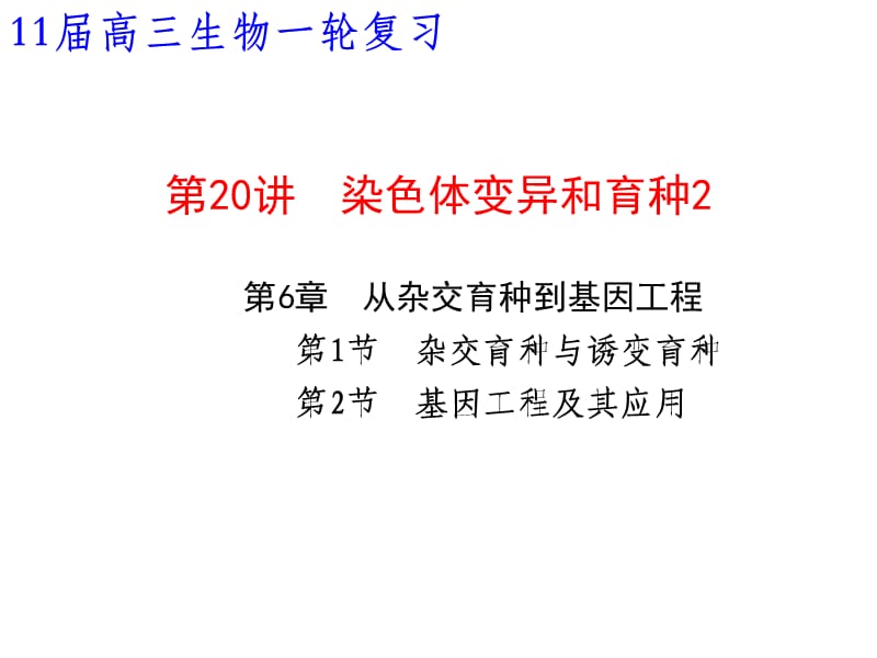 郑州一中2011届高三生物一轮复习课件20染色体变异和育种2.ppt_第1页