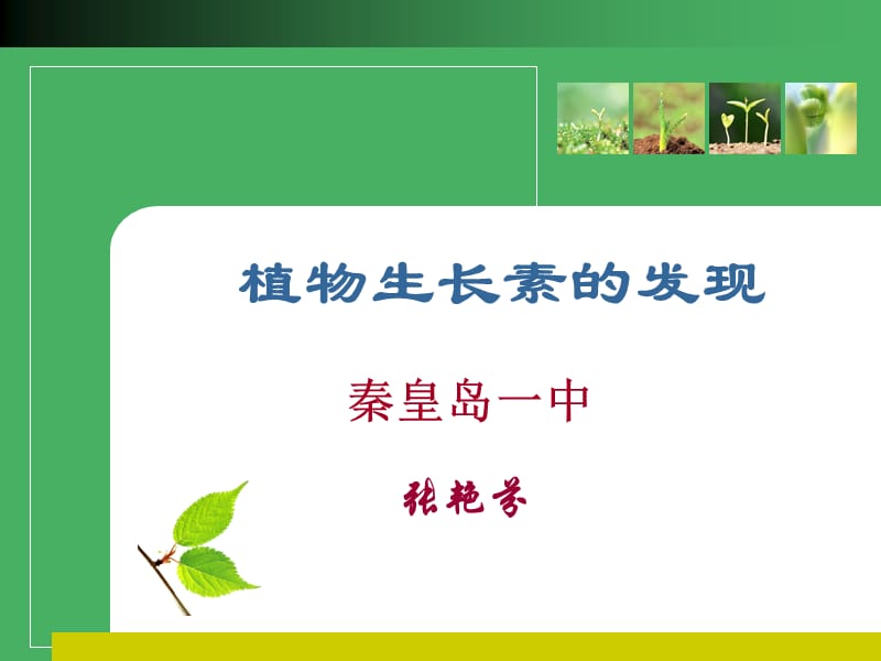 植物生长素的发现.ppt_第1页