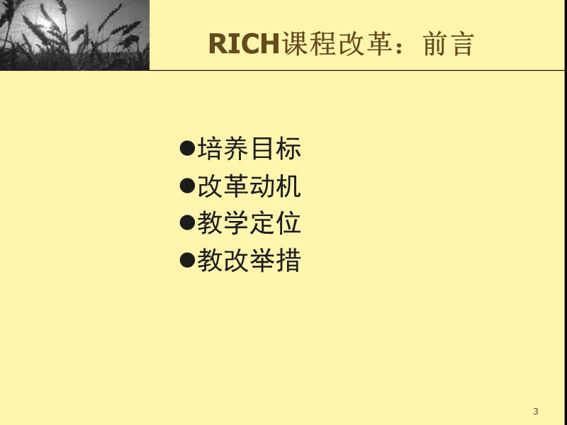 浙江师大RICH章节程实践与教师发展.ppt_第3页