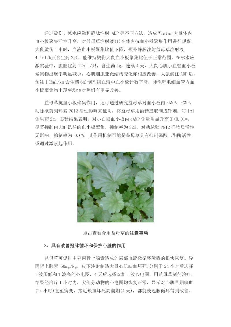 2019益母草的功效与作用益母草禁忌益母草颗粒副作用.doc_第3页