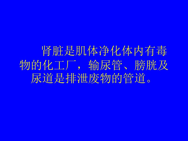 泌尿、男生殖系外科疾病 ppt课件.ppt_第3页