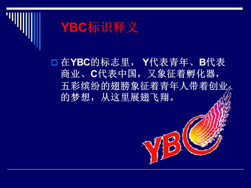 YBC项目简介 PPT.ppt_第3页
