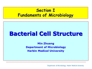 细菌的形态与结构PPT课件.ppt