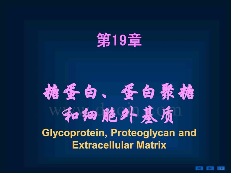生物化学PPT课件-第十九章糖蛋白、蛋白聚糖和细胞外基质.ppt_第1页
