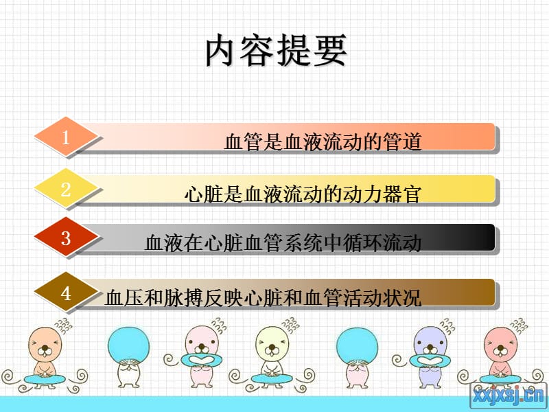 血液循环第一课时.ppt_第3页