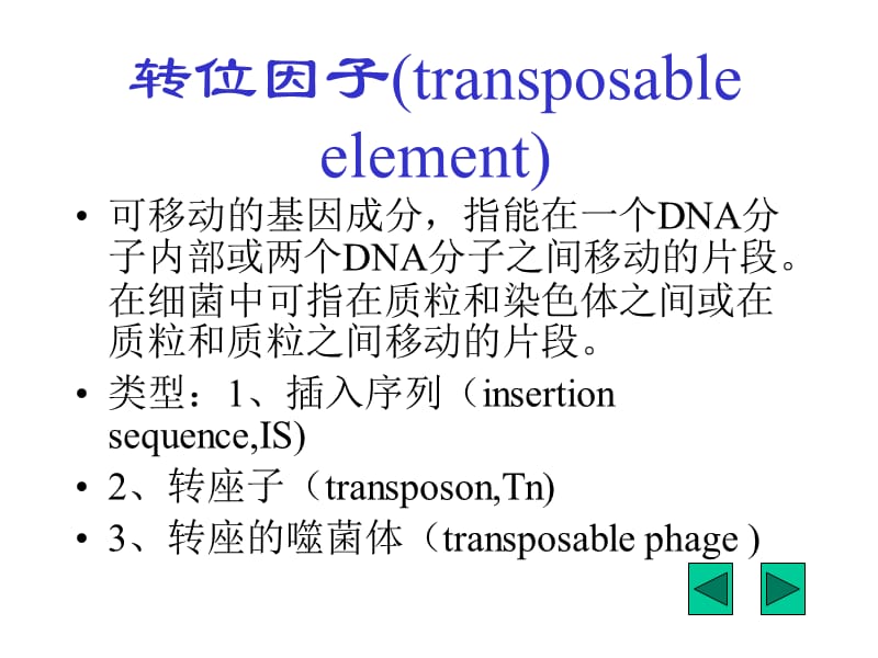 转位因子transposableelement.PPT_第1页