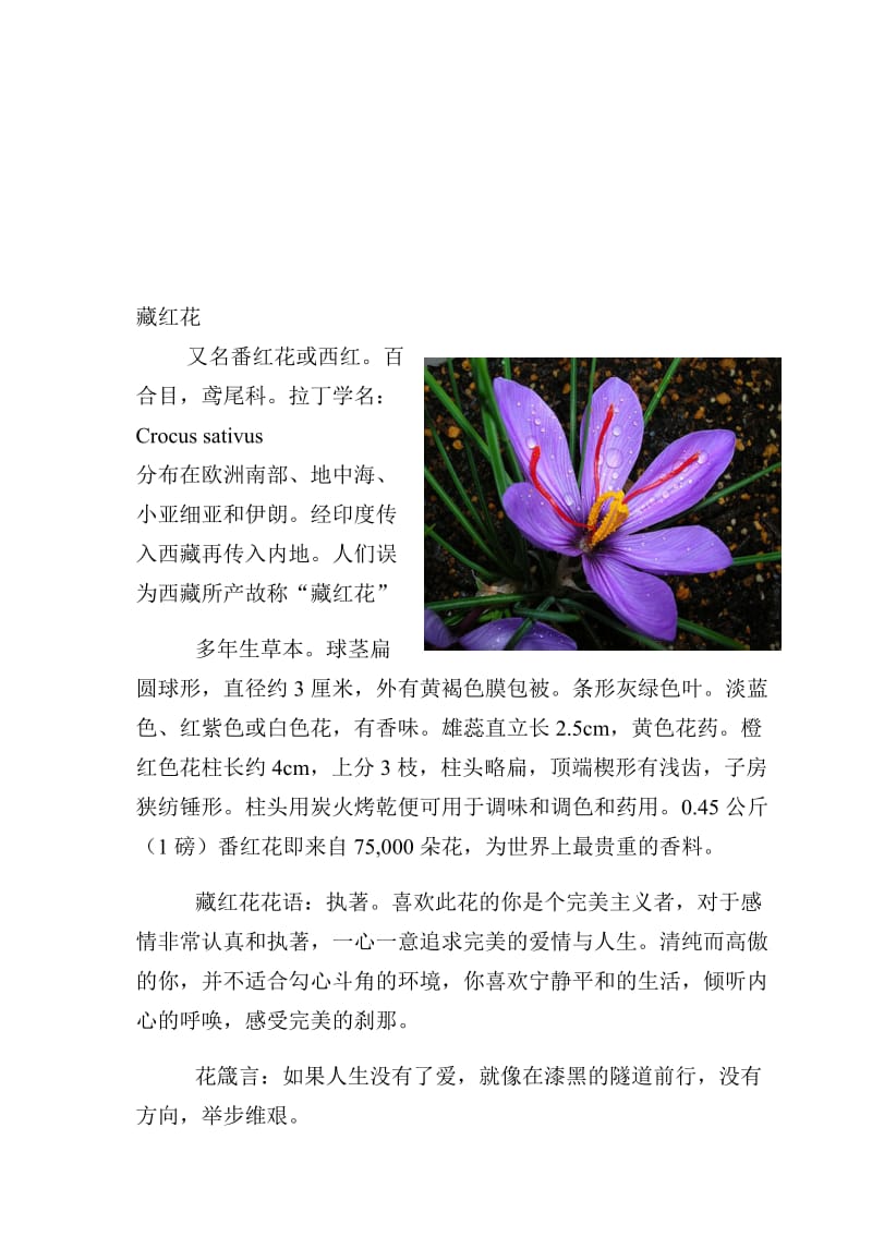 2019藏红花的功效和食疗.doc_第1页