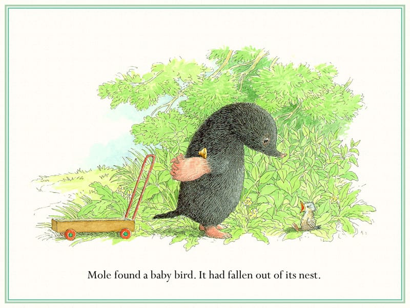 mole and the baby bird 幼儿绘本故事大全.ppt_第2页