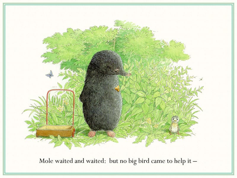 mole and the baby bird 幼儿绘本故事大全.ppt_第3页