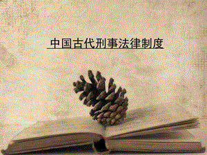 中国古代法制史——刑罚基本原则.ppt