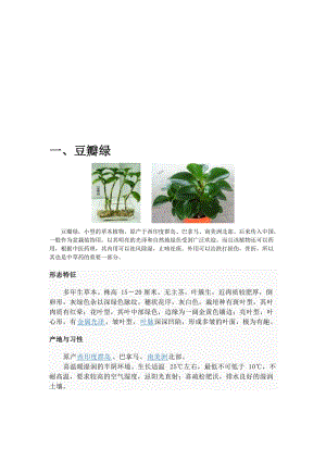 2019花卉百科：豆瓣绿、红掌、金枝玉叶.doc