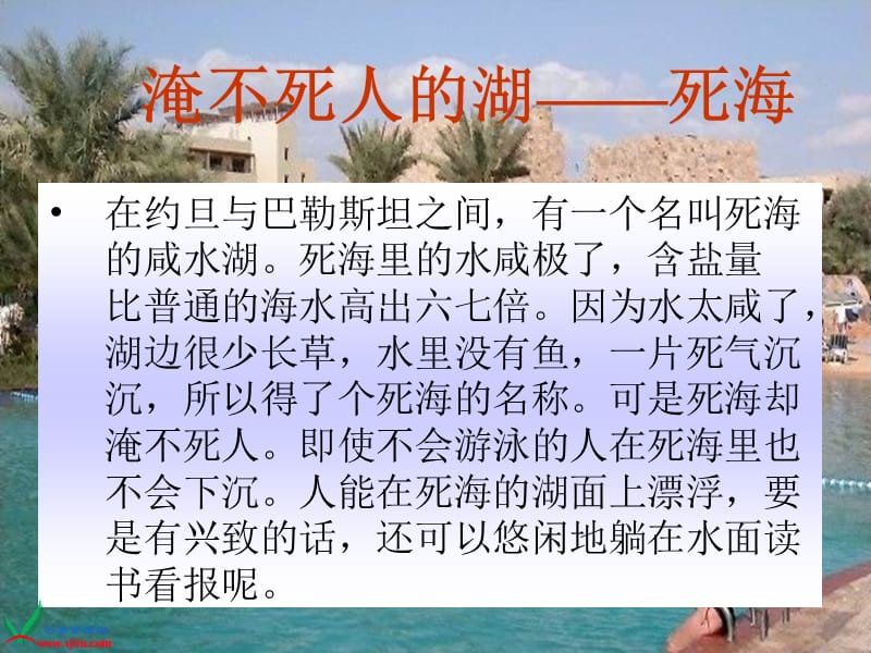 2019(北京版)四年级语文上册课件神秘的死海.ppt_第2页