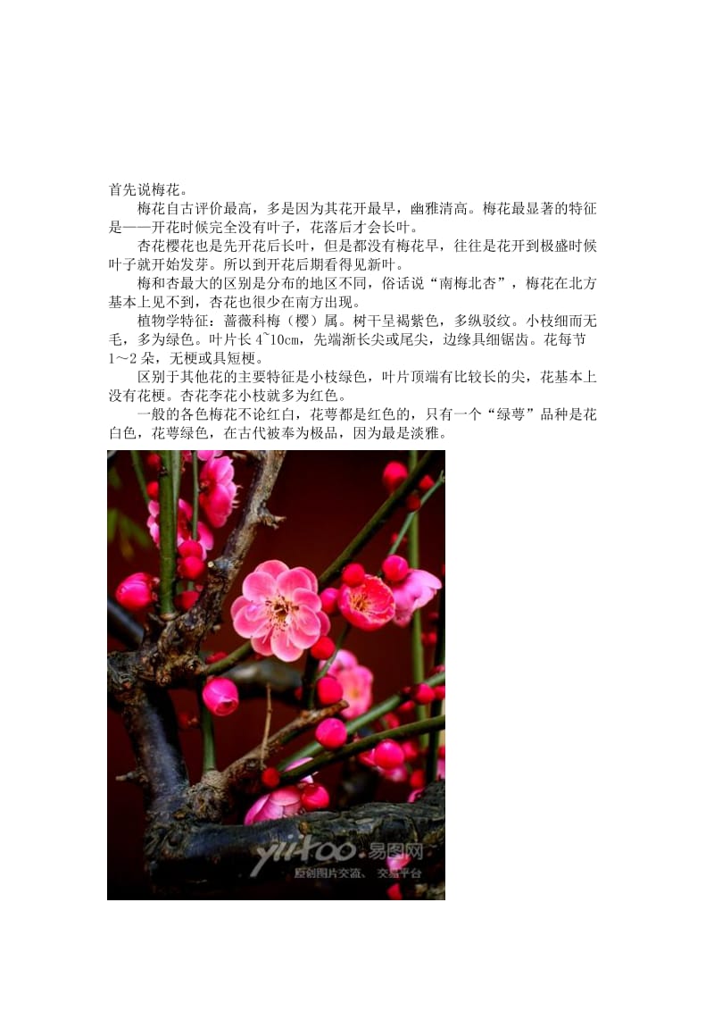 2019蔷薇科几种植物鉴别.doc_第1页