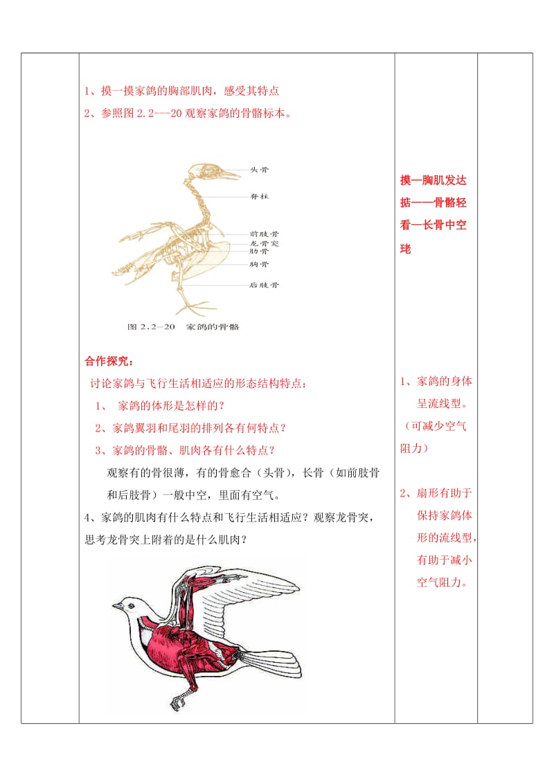2019薛城—舜耕—脊椎动物的主要类群2—赵伟.doc_第3页