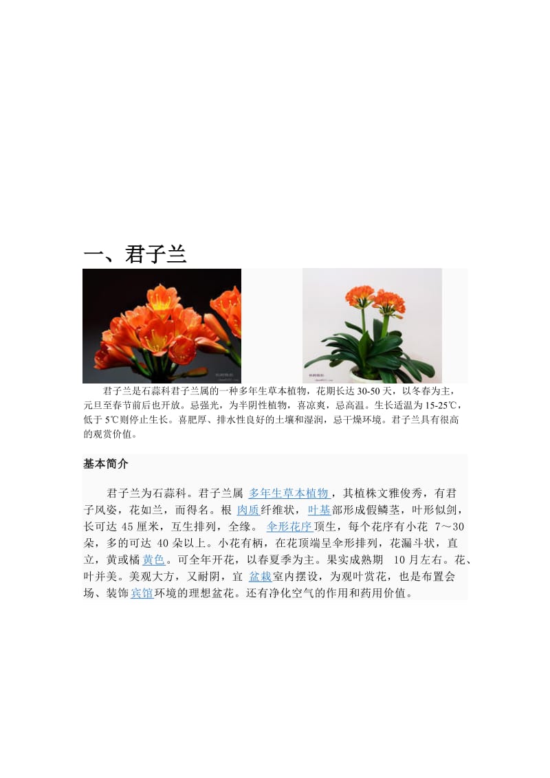 2019花卉百科：君子兰、葱兰.doc_第1页