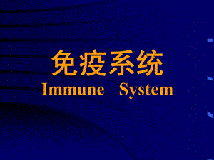 免疫系统-组织胚胎学教学课件.ppt