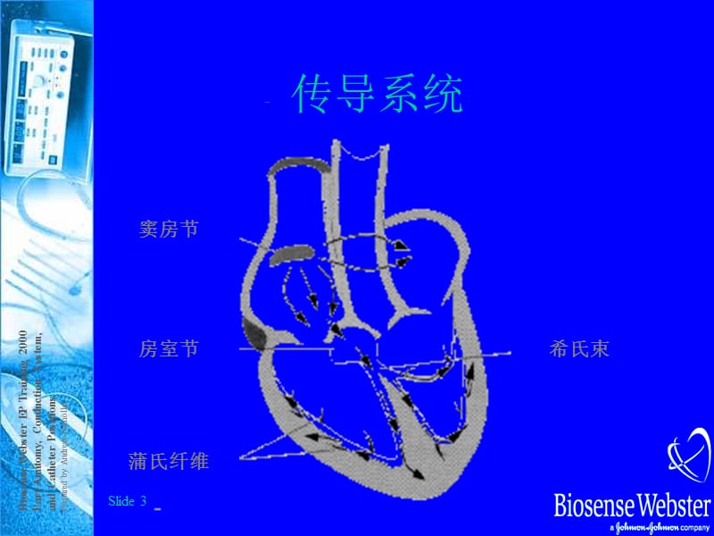 心脏生理解剖结构和传导路径.ppt_第3页