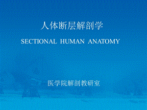 人体断层解剖学-颅脑矢冠断层PPT课件.ppt