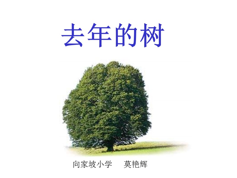 浙教版四年级上册去年的树课件.ppt_第1页