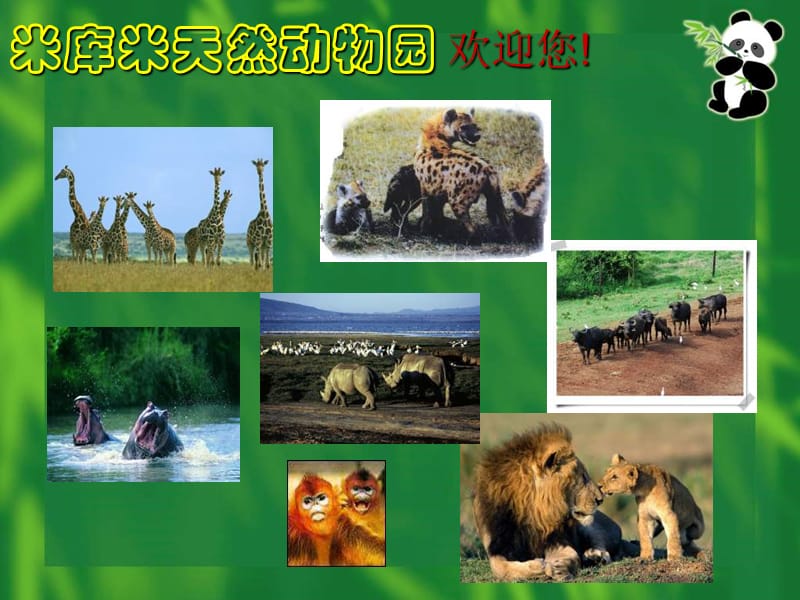 北京版六年级上册天然动物园漫游记1课件.ppt_第2页