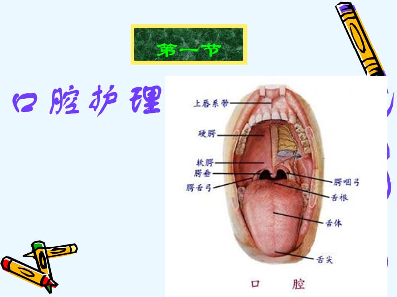 患者的清洁相关护理【PPT课件】.ppt_第2页