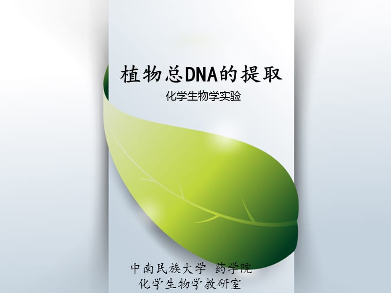 植物总DNA的提取.ppt_第1页