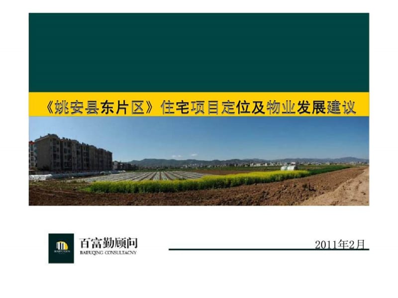 2019年2月姚安县东片区住宅项目定位及物业发展建议.ppt_第1页