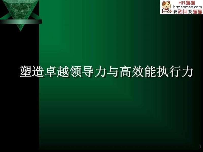 塑造卓越领导力与高效能执行力-HR猫猫(1).ppt_第1页