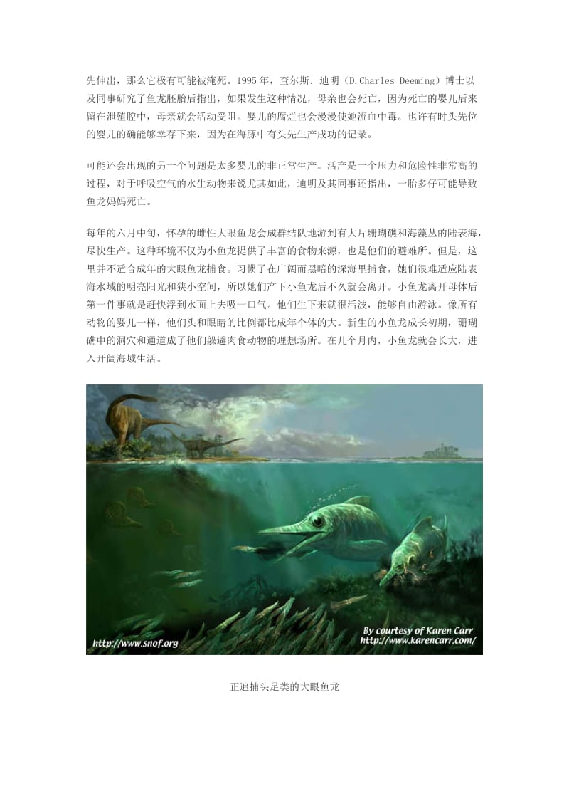 2019鱼龙、沧龙、鲸.doc_第3页