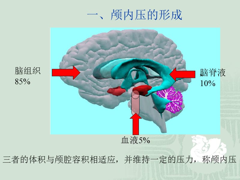 颅脑损伤病人颅内压升高原因分析及护理对策PPT课件.ppt_第3页