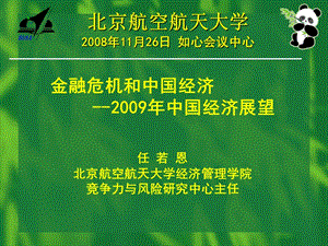 金融危机和中国经济--2009年中国经济展望.ppt