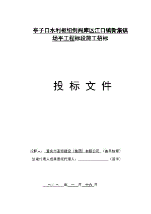 hc亭子口水利枢纽剑阁库区江口镇新集镇场平工程标段施工招标投标文件.doc