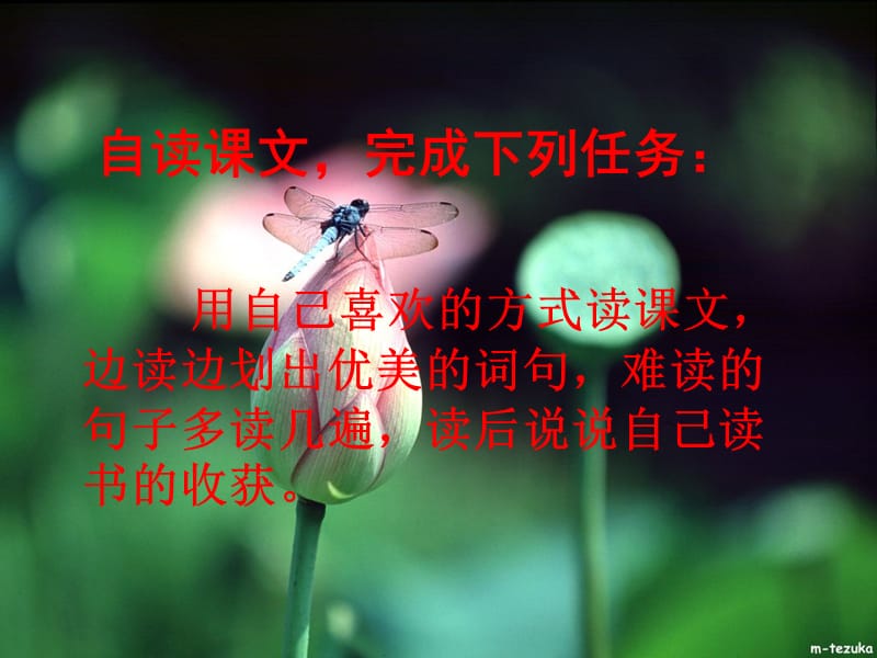 自己的花是让别人看的.ppt_第3页