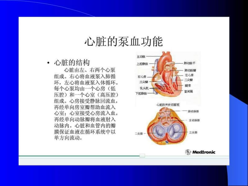 心衰的血流动力学.ppt_第2页