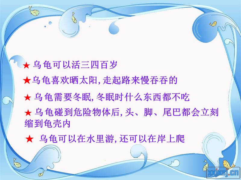 想飞的乌龟新.ppt_第2页