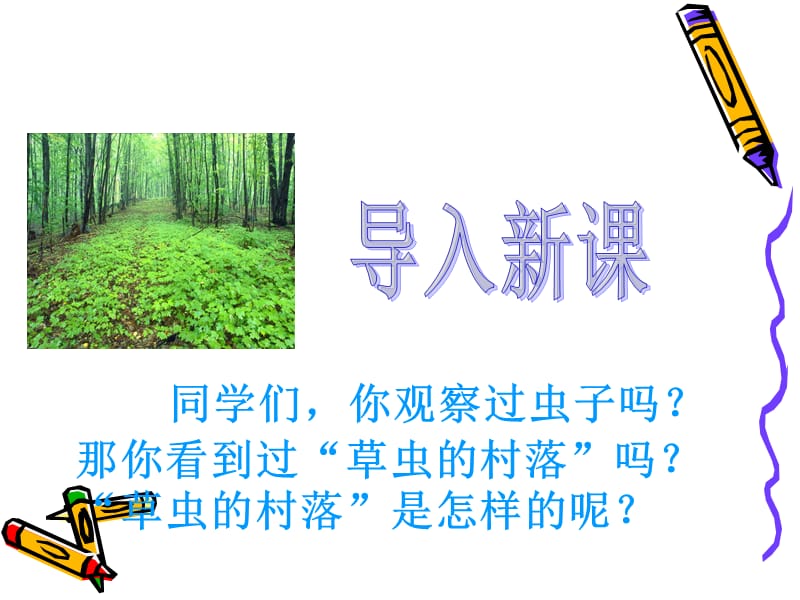 3草虫的村落课件.ppt_第2页