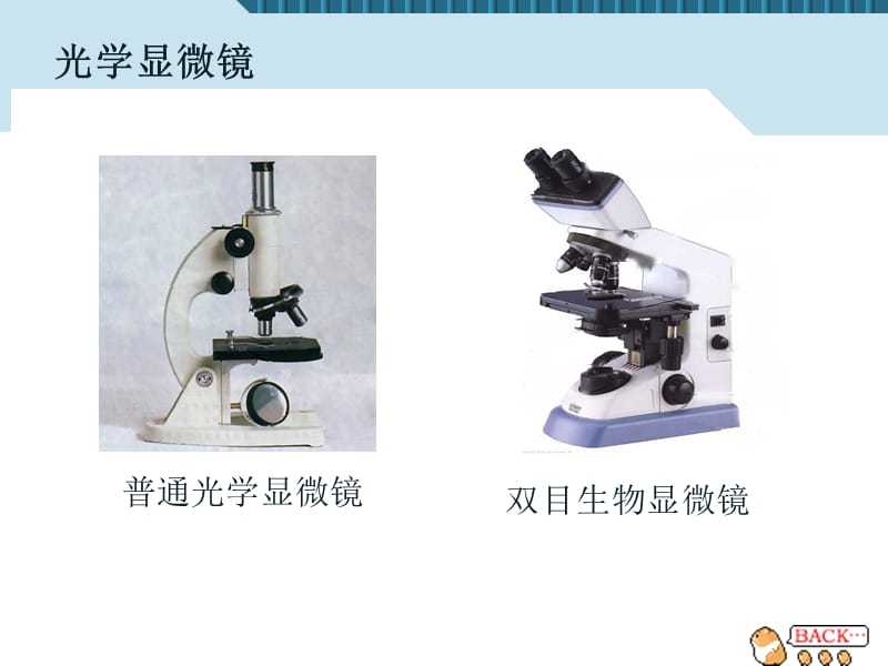 2-1.1练习使用显微镜.ppt_第2页
