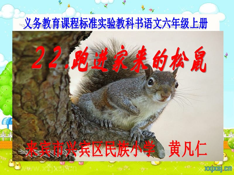 《22、跑进家来的松鼠》（黄凡仁）.ppt_第1页